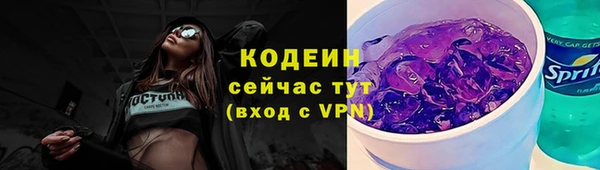 индика Снежинск