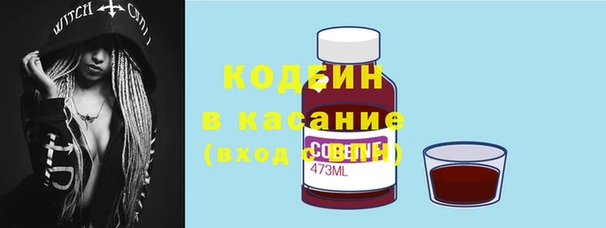МДПВ Бородино