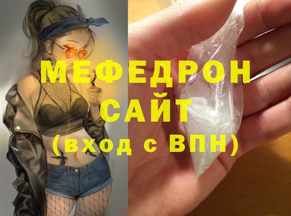 МДПВ Бородино