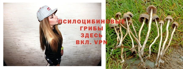 хмурый Бугульма