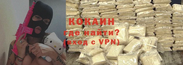 МДПВ Бородино