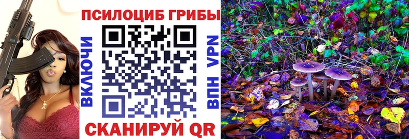 Галлюциногенные грибы мицелий  блэк спрут ссылка  Юрьевец 